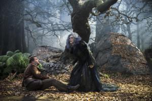 COURTESY CDNVIDEO.DOLIMNG.COM Meryl Streep plays a mischievous witch in the new Disney movie "Into the Woods."