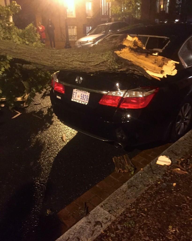 COURTESY OLIVIA ENOS A tree fell outside the front gates during heavy storms Monday evening, damaging the rear end of Olivio Enos' (GRD '17) car. 